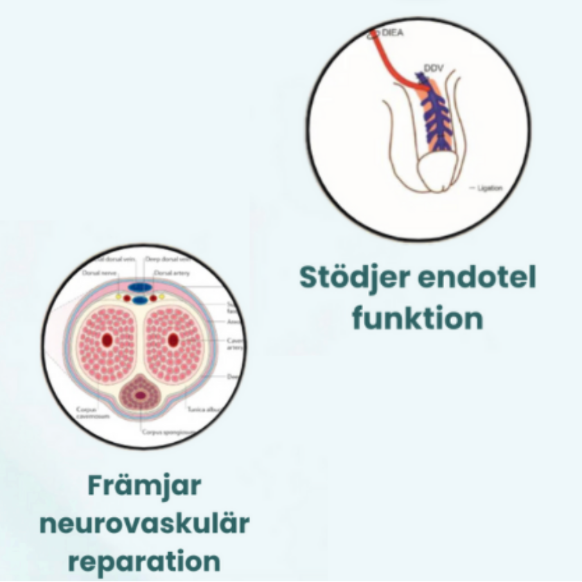 NEUREX™ - Ta kommandot nu - och sätt stopp för fler förstörda kvällar